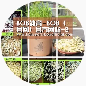 BOB体育-BOB（官网）官方网站-BOBSPORTS下载