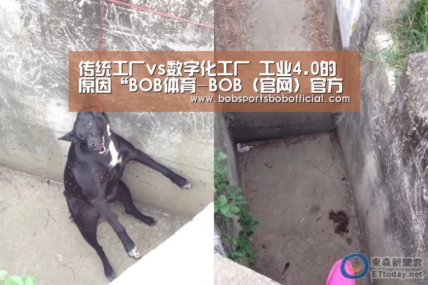 BOB体育-BOB（官网）官方网站-BOBSPORTS