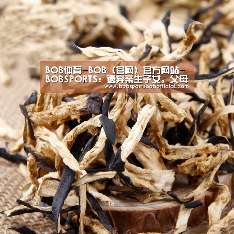 BOB体育-BOB（官网）官方网站-BOBSPORTS