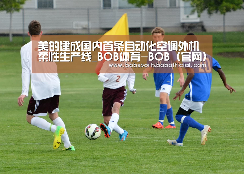 BOB体育-BOB（官网）官方网站-BOBSPORTS下载